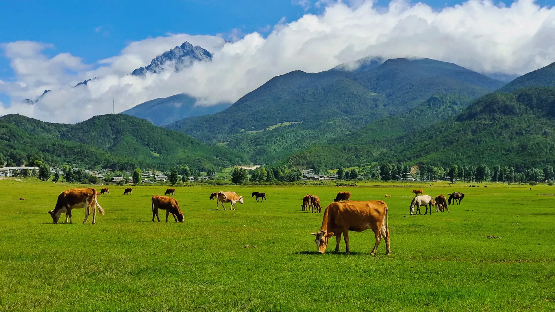 Cloud Mountain Ecotours - Sustainable Adventures in Lijiang and Shangri-La